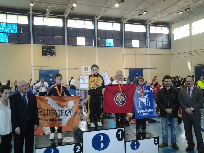 CLUBES NAVARROS EN EL CAMPEONATO DE ESPAÑA 2015